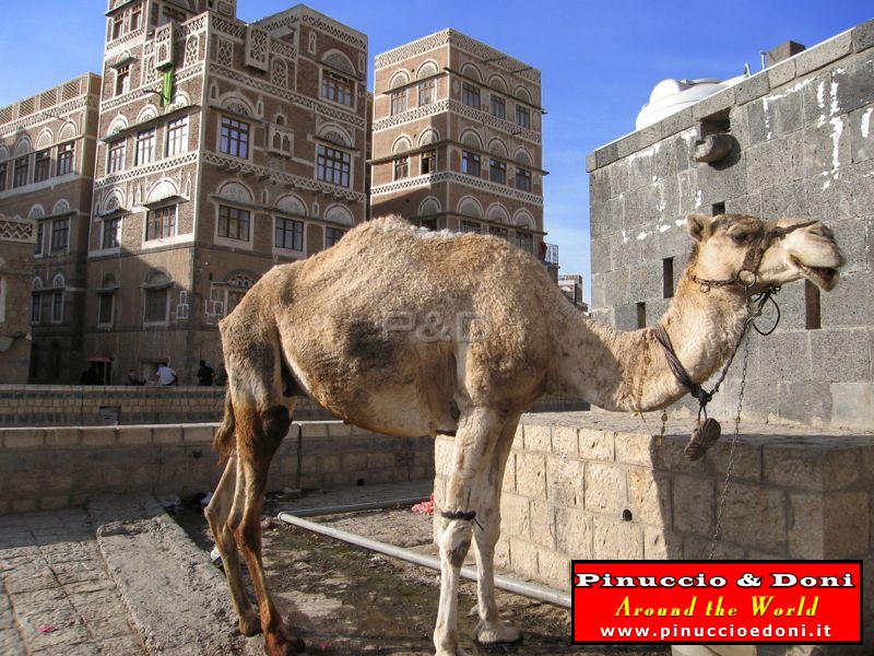 Yemen - Sana'a - 043.jpg